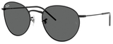 Ray-Ban Sunglasses RBR0103S Round Reverse 002/GR