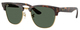 Havana / Dark Green
