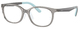 Transparent Grey / Clear