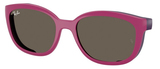 Fucsia Rubber Violet Brown / Clear