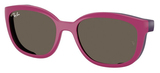Fucsia On Rub Violet / Brown / Clear