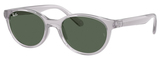 Transparent Grey / Dark Green