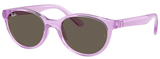 Transparent Violet / Brown
