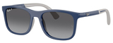 Blue On Rubber Grey / Lt Brown