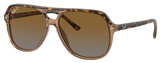 Havana On Transp Brown / Grey