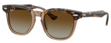 Havana On Transparent / Brown