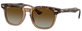 Havana On Transparent / Brown
