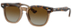 Havana On Transparent / Brown