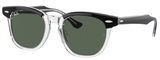 Black On Transparent / Rk Green