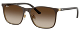 Brown On Arista / Gradient Brown