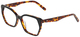 Black / Tortoise / Clear