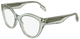 Transparent Light Sage / Clear