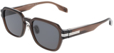 Canada Goose Sunglasses GC25622SLB 210