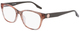 Peach Tortoise / Clear