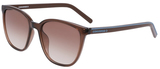 Converse Sunglasses CV528S Elevate 201
