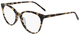 Tokyo Tortoise / Clear