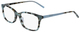 Teal Tortoise / Clear