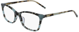 DKNY Eyeglasses DK5013 320