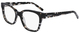 Black Tortoise / Clear
