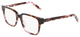 Honey / Pink Tortoise / Clear