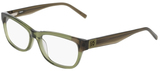 DKNY Eyeglasses DK5082 330