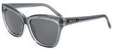 DKNY Sunglasses DK543S 310