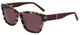 Blush Tortoise