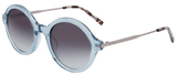 DKNY Sunglasses DK714S 310