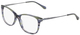 Blue Stripe / Clear