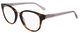 Tortoise / Clear