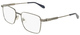 Light Ruthenium / Clear