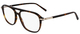 Dark Tortoise / Clear