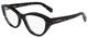 Black / Black Tortoise / Clear