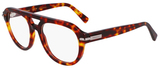 Red Tortoise / Clear