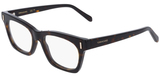 Dark Tortoise / Clear