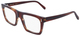 Striped Brown / Clear
