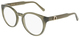 Transparent Khaki / Clear