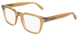 Transparent Caramel / Clear