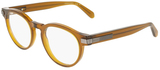 Transparent Brown / Clear