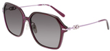 Salvatore Ferragamo Sunglasses SF1034SA 500