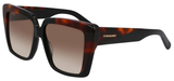 Black / Tortoise