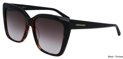 Salvatore Ferragamo Sunglasses SF1102S 006