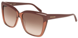 Burgundy / Transparent Brown