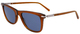 Transparent Brown