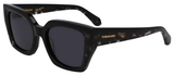 Black / Black Tortoise