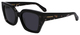 Black / Black Tortoise
