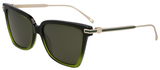 Salvatore Ferragamo Sunglasses SF2036S 316
