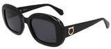 Salvatore Ferragamo Sunglasses SF2038SE 001