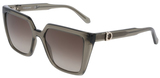 Salvatore Ferragamo Sunglasses SF2058SE 320