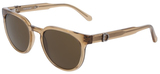 Salvatore Ferragamo Sunglasses SF2059SE 278